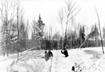 CCC Boys Uncovering Snow-covered Woodpile, Camp Siskiwit, ca. 1938: [NVIC: 30-214], ISRO Archives.