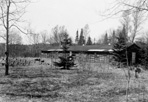 Barracks, Camp Windigo, 1953: Hakala, [NVIC: 50-522], ISRO Archives.