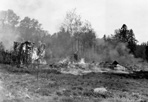 Burning of CCC Mess Hall, Daisy Farm, 1957: Linn, [NVIC: 50-816], ISRO Archives.