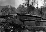 Burning of CCC Mess Hall, Daisy Farm, 1957: Linn, [NVIC: 50-817], ISRO Archives.