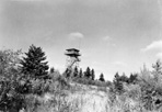 Mt. Ojibway Tower (#332), Mount Ojibway, W.W. Dunmire, 1965: [NVIC: 60-415], ISRO Archives.