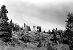 Mt. Ojibway Tower (#332), Mount Ojibway, W.W. Dunmire, 1965: [NVIC: 60-428], ISRO Archives.