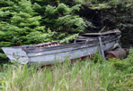 Mattson Fishery, 2010: Tobin Harbor Survey, Isle Royale National Park.