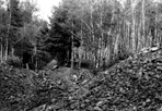 Minong Mine Ruins, 1938: Hummel [NVIC: 30-160], ISRO Archives.