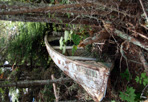 Abandoned Boat, Minong Island, 2010: Tobin Harbor Survey, Isle Royale National Park.