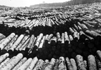 Mead Logging Operations, ca. 1935: Resource Management Records, ISRO Archives.