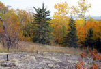Irons Pins Above Stampmill, 2012: Island Mine, Isle Royale National Park.