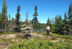 Wheelock Island, 2013: Tobin Harbor Survey, Isle Royale National Park.